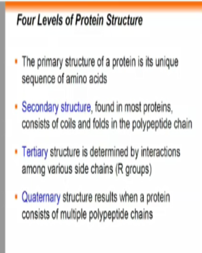 有關蛋白質結構各級分類簡單介紹